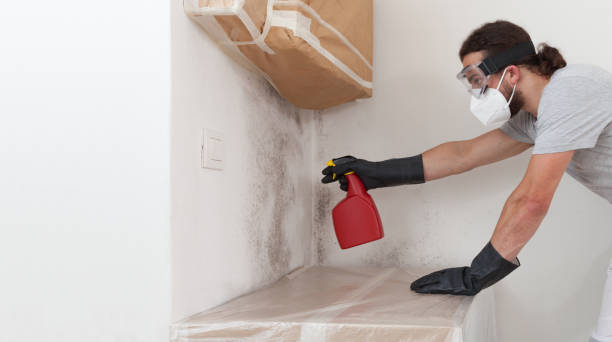Professional Mold Remediation technician working in Marlborough, MA