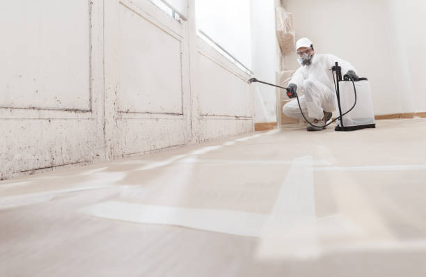 24/7 Emergency Mold Remediation experts in Marlborough, MA